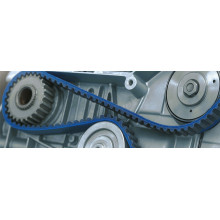 Guangzhou GOODLY Industrial Belt Co., Ltd. Expands Custom Belt Solutions for Smart Manufacturing and Automated Conveyor Systems
