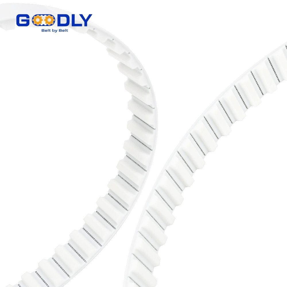 Timing Belt - customization and fabrication options