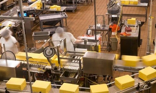 Food-Grade Timing Belts: FDA-Compliant Drive Belts for Food Processing Lines