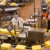 Food-Grade Timing Belts: FDA-Compliant Drive Belts for Food Processing Lines