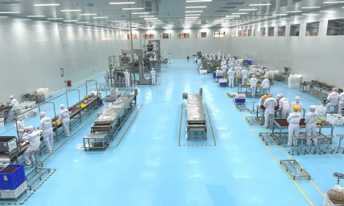 Case Study: Guangzhou GOODLY Solves the Problem of Soft Belts for Moldovan Nut Food Factories with Custom 50A Hardness Wear-Resistant Solutions