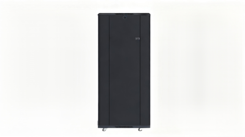 Standard Network Cabinet (42U) NE26842