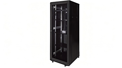 Standard Network Cabinet (Full-size customization)