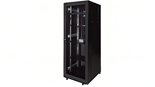 Standard Network Cabinet (42U) NE26842
