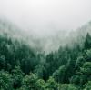 How Oxygen Supports Brain Performance in Daily Life