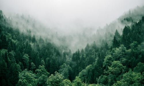 How Oxygen Supports Brain Performance in Daily Life