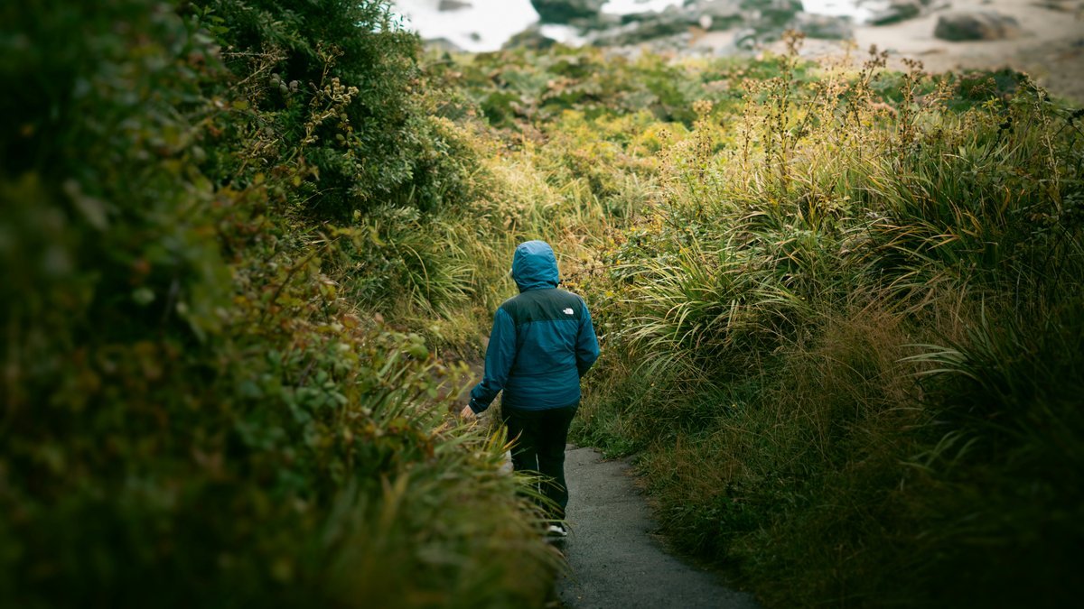 Person walking through green foliage enjoying fresh air in nature
