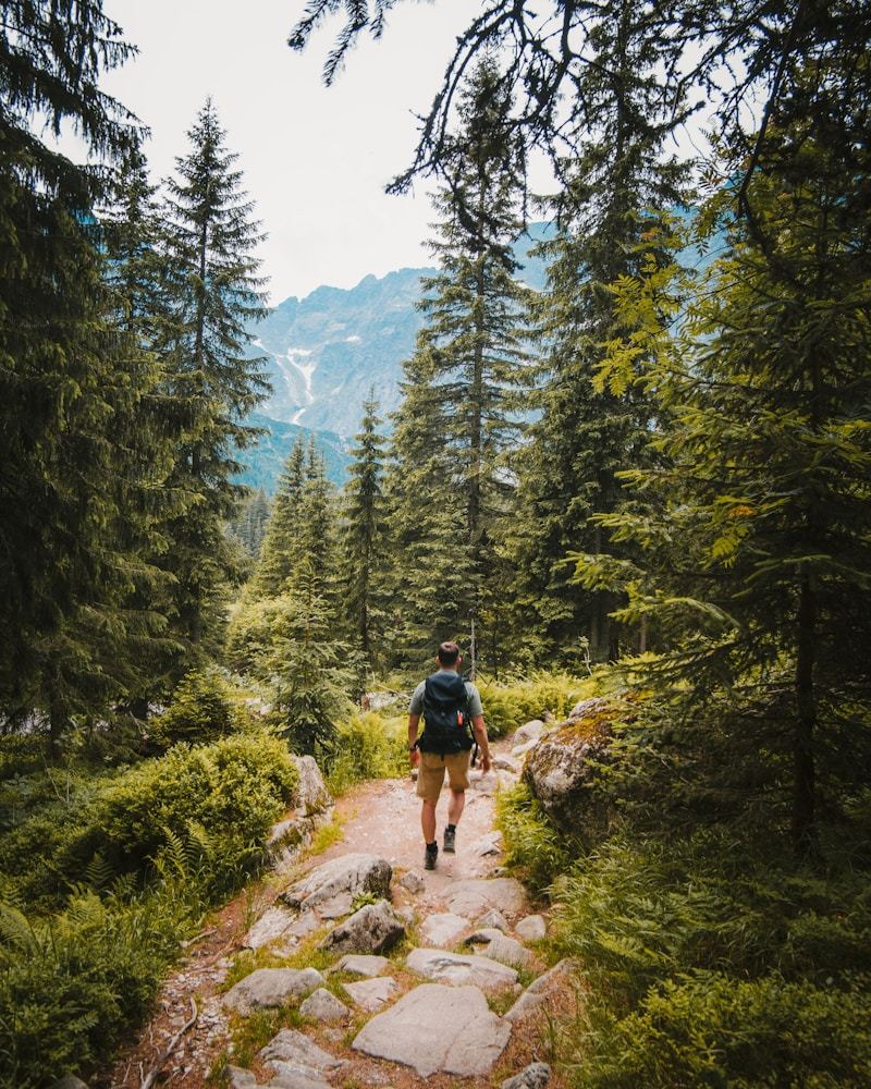 Person walking on a peaceful pathway surrounded by trees and greenery in nature