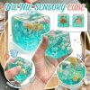 Ocean Shells Ice patterns | Stress Cube toys | stress relief toys | children's adult gifts