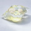 Conch shape | Conch squishy toys |machi fidget toys | stress relief toys | children's adult gifts