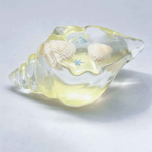 Conch shape | Conch squishy toys |machi fidget toys | stress relief toys | children's adult gifts