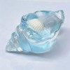 Conch shape | Conch squishy toys |machi fidget toys | stress relief toys | children's adult gifts