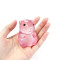 Four Colors Capybara Squishy |Stress ball toys|stress relief toys