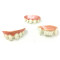 Halloween Vampire Fangs |Party Fangs|Party Fangs