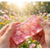 PLAYGORO Flower Garden Strip Squishy - Transparent Daisy Stress Relief Toy