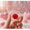 PLAYGORO Valentine Rose Cube Squishy - 6-Color Transparent Stress Toy