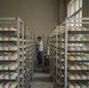 The Life of a Squishy: 72 Hours in Our Workshop