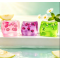Fruit Cube Maltose Fidget Toy | Stresss ball toys|stress relief toys