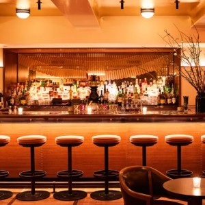 Modern Swivel Bar Stool With Footrest For Hotel Lobby & Bar Areas