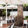 Adjustable Tilt Outdoor Patio Umbrella With Heavy Duty Base For Hotel Pool And Beach Use
