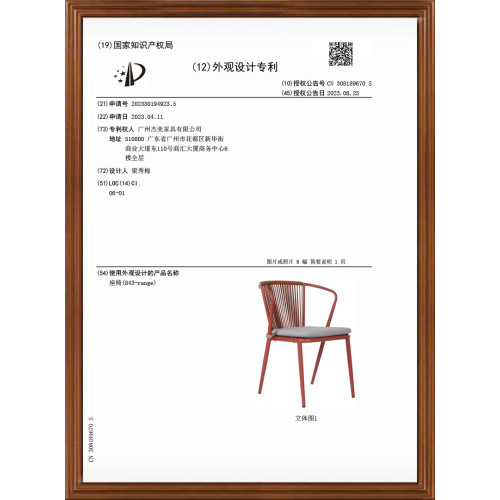 Design Patent