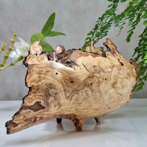 Natural Burl Wood Vase Sculpture Handcrafted Art Decor For Hotel Lounge Area