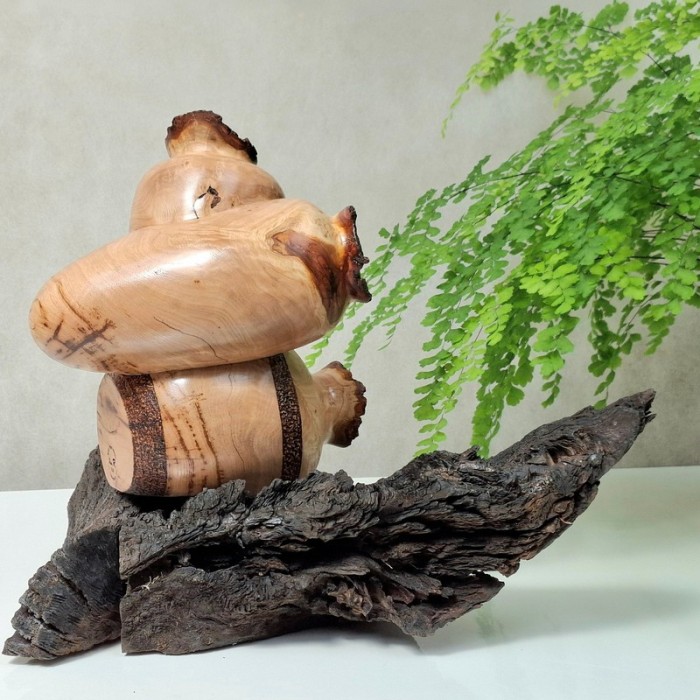 Natural Burl Wood Vase Sculpture Handcrafted Art Decor For Hotel Lounge Area