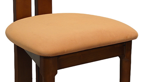 Stylish Elegant Inspired Dining Chair With Velvet Seat And Backrest