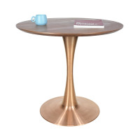 Tulip-Shaped Brushed Table Base | Metal Coffee Table Legs