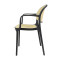 Metal dining chair wholesale   |   Commercial plastic chair