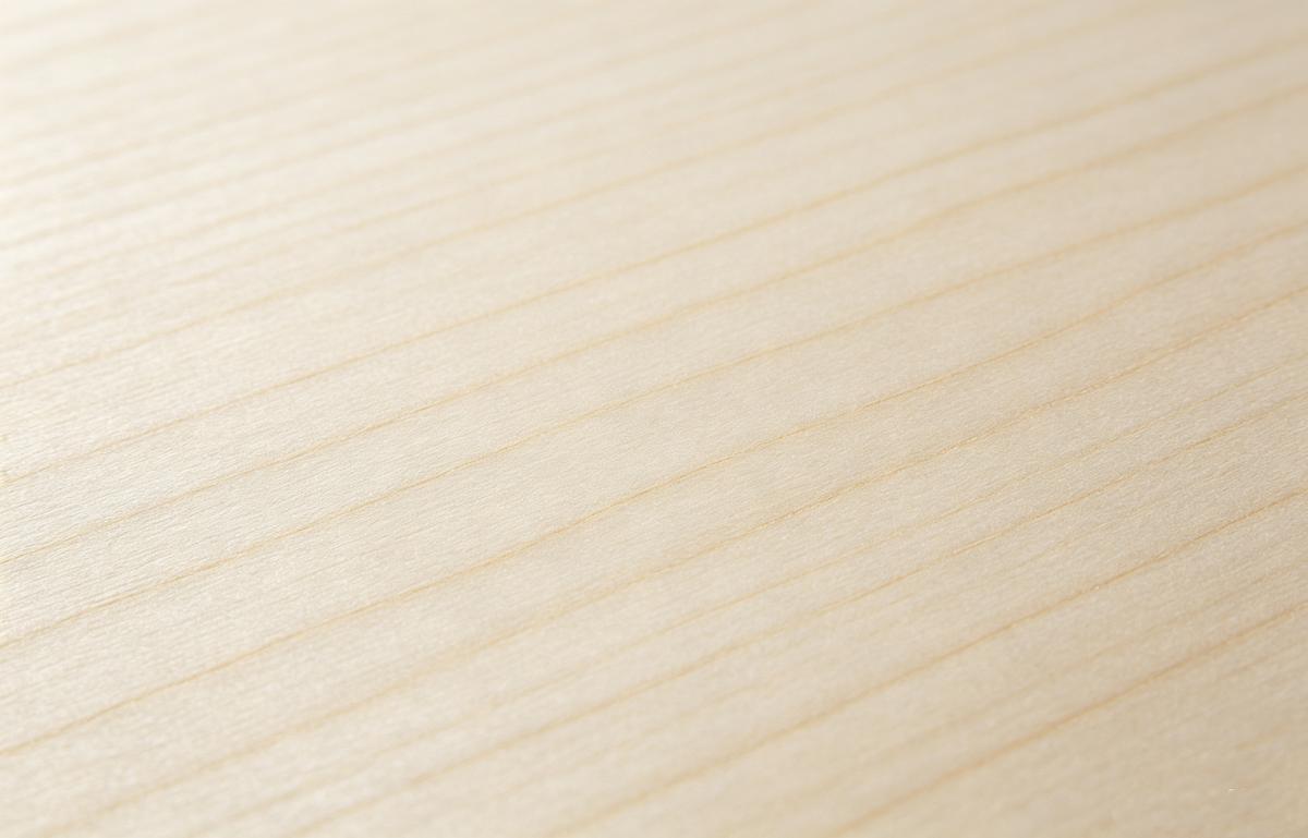 Basswood