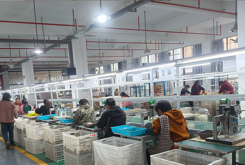 Worker packing wooden toys into gift boxes on packaging line