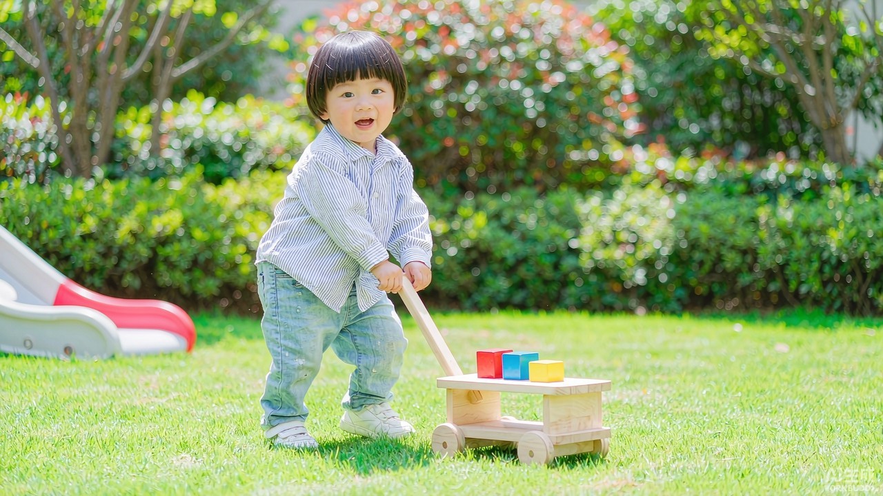 Why Outdoor Wooden Toys Matter: Encouraging Active, Healthy Play