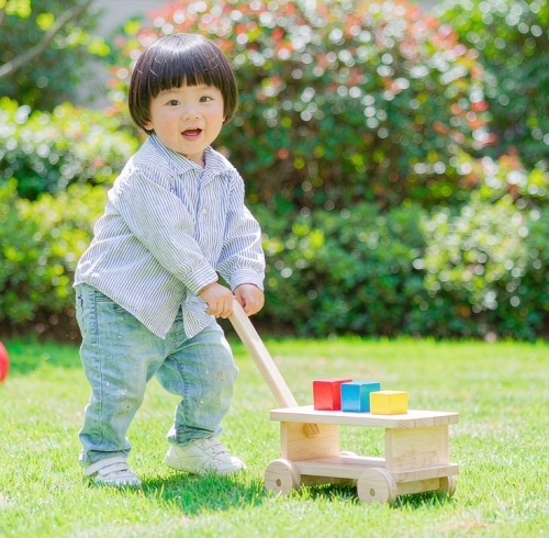 Why Outdoor Wooden Toys Matter: Encouraging Active, Healthy Play