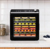 The Science Behind Food Dehydration: Temperature, Airflow & Nutrient Retention