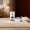 Pet Feeder & Water Fountain Buying Guide: How to Choose the Right Products for Your Market
