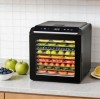 Food Dehydrator vs Oven Drying: Which Method Gives Better Results?