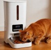 Smart Pet Feeder Engineering: Portion Control and Anti-Jam Mechanisms