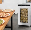 Commercial Food Dehydrator Buying Guide for Small Businesses