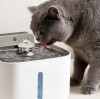 Pet Tech Market Outlook: Smart Feeders and Fountains in 2026