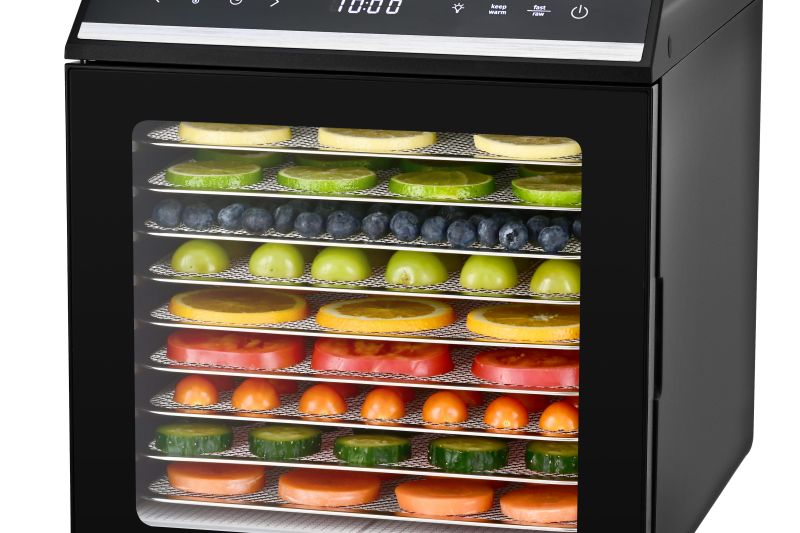 Kangye KYS-315 food dehydrator with stainless steel trays