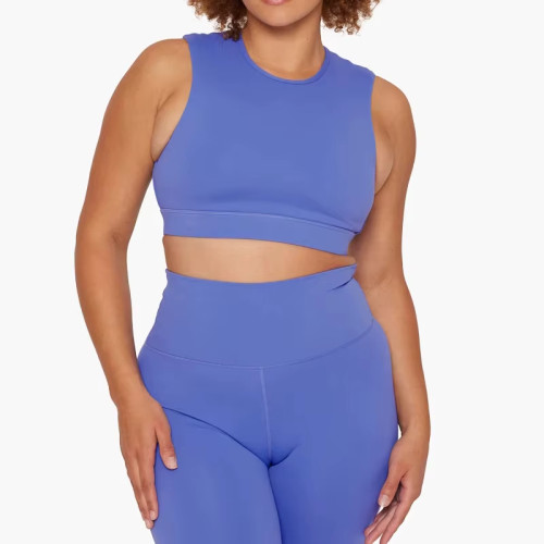 Custom Open Back Yoga Crop Top | High Neck Sleeveless Workout Top for Women