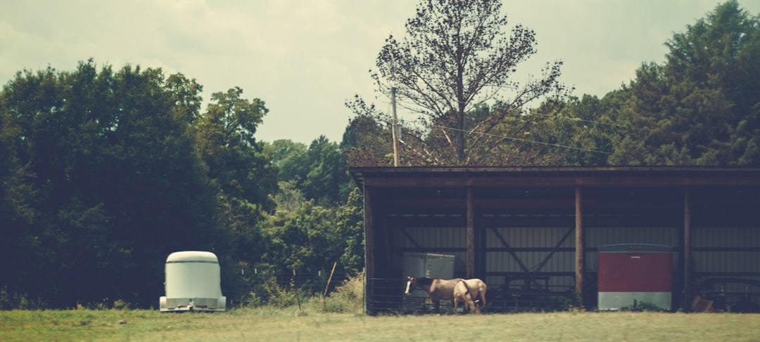 Never Again in the Dark: The Ultimate Guide to Powering Your Agricultural and Livestock Operations