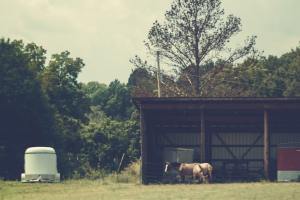 Never Again in the Dark: The Ultimate Guide to Powering Your Agricultural and Livestock Operations