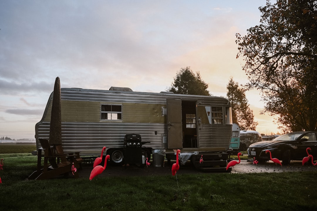Two inverter generators connected with a parallel kit in a campsite setting
