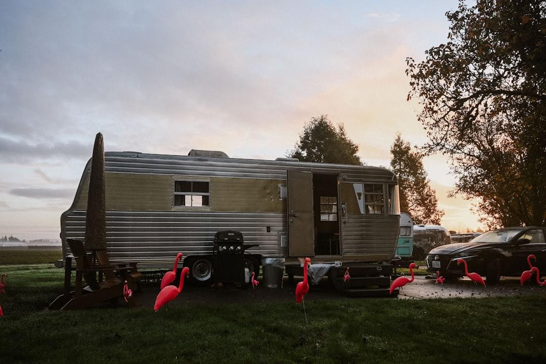 The Ultimate Power Couple: Why Your Next Generator Needs This Essential Accessory for Maximum Flexibility