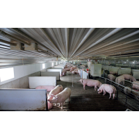 Hunan Xinwufeng Group Pig Farm Diesel Generator Project