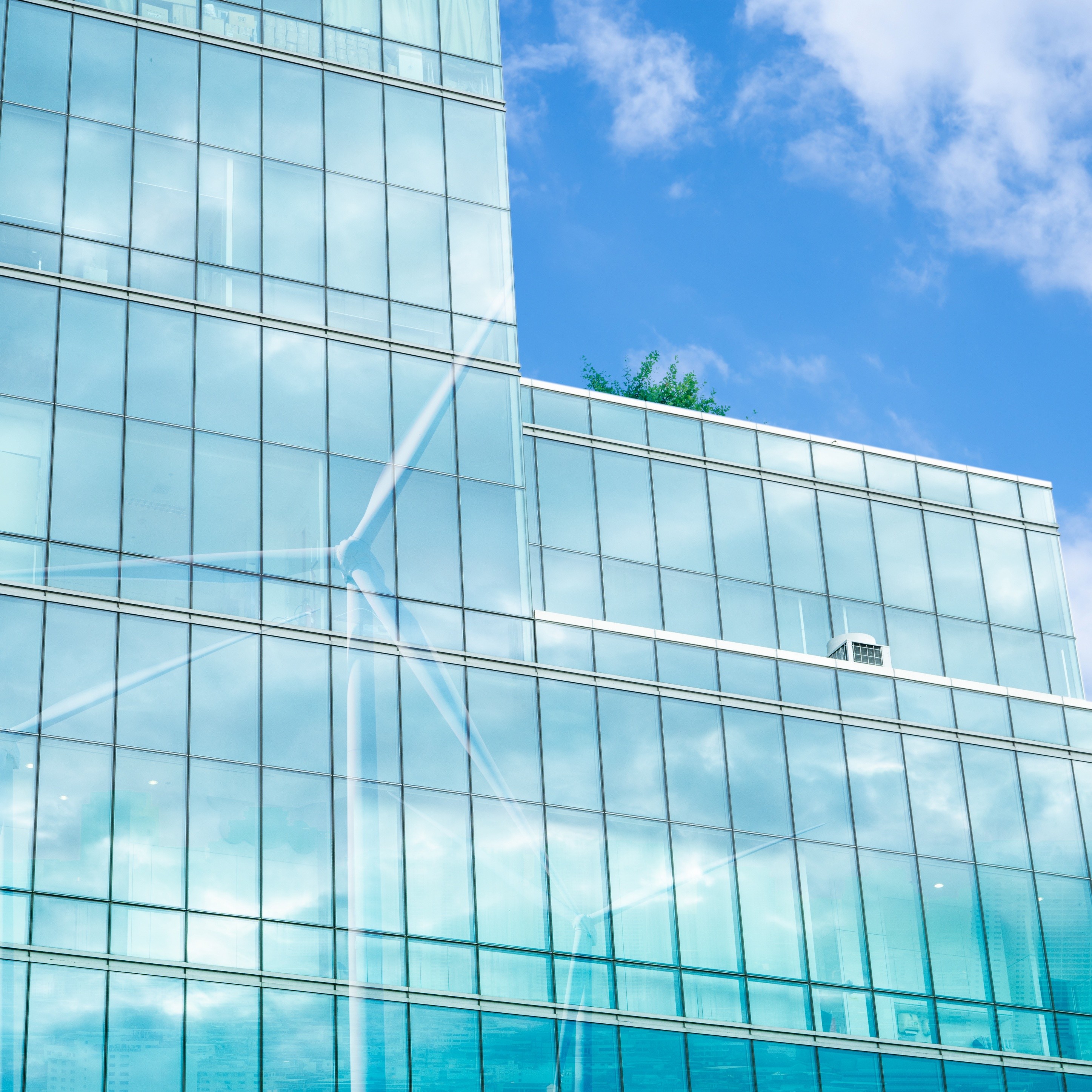 Semi-Visible Curtain Wall Facade