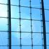 Spider Curtain Wall Point Fixed Glass Facade System China Manufacturer