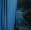 Curtain Walls vs. Window Walls: An Explainer on Key Differences and Attachment Techniques